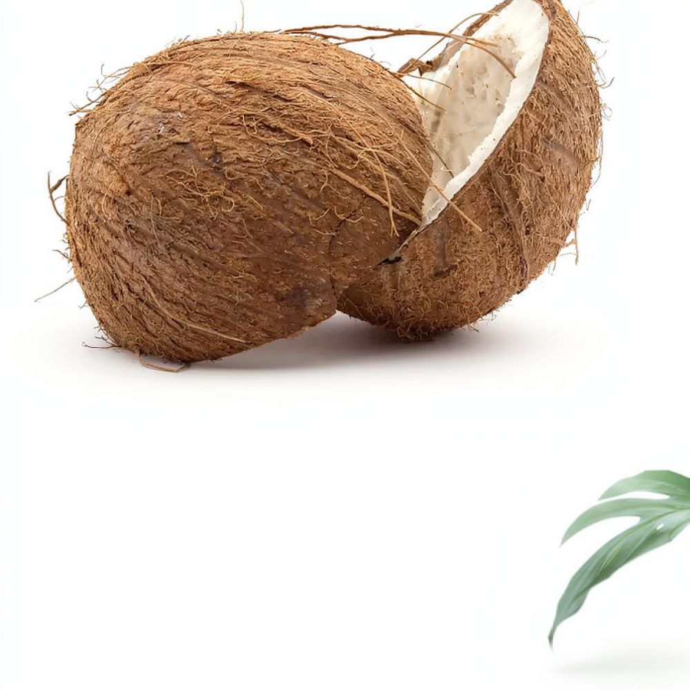 Wysokiej jakości, suszona ziem – Substrate Coconut Fiber recenzja i cena
