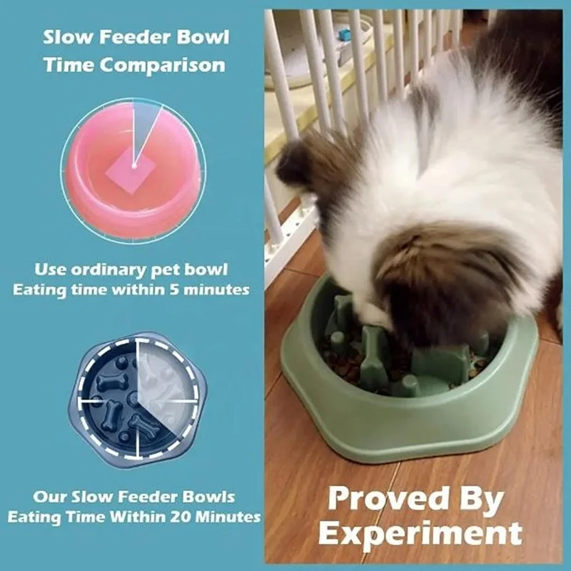 Miska dla psa z funkcją spowal – Royal Canin Food Medium recenzja i cena